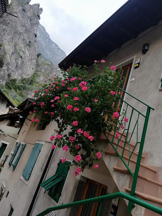 Casa Maria Lafinestrasulgarda Apartment Limone sul Garda Ngoại thất bức ảnh