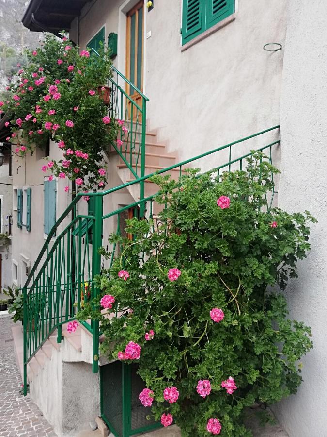 Casa Maria Lafinestrasulgarda Apartment Limone sul Garda Ngoại thất bức ảnh