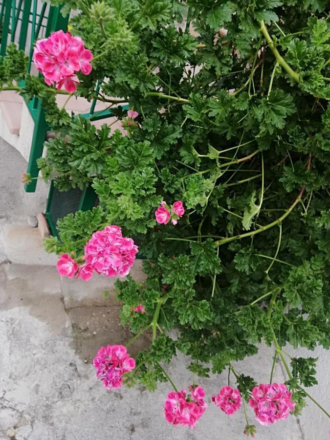 Casa Maria Lafinestrasulgarda Apartment Limone sul Garda Ngoại thất bức ảnh