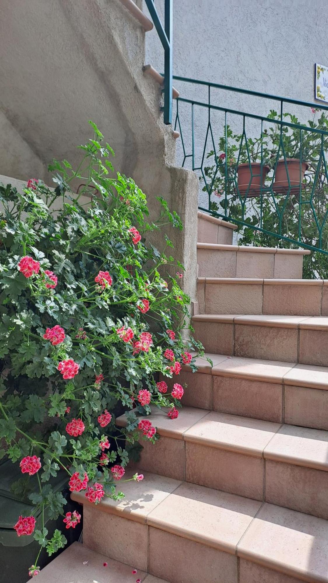Casa Maria Lafinestrasulgarda Apartment Limone sul Garda Ngoại thất bức ảnh